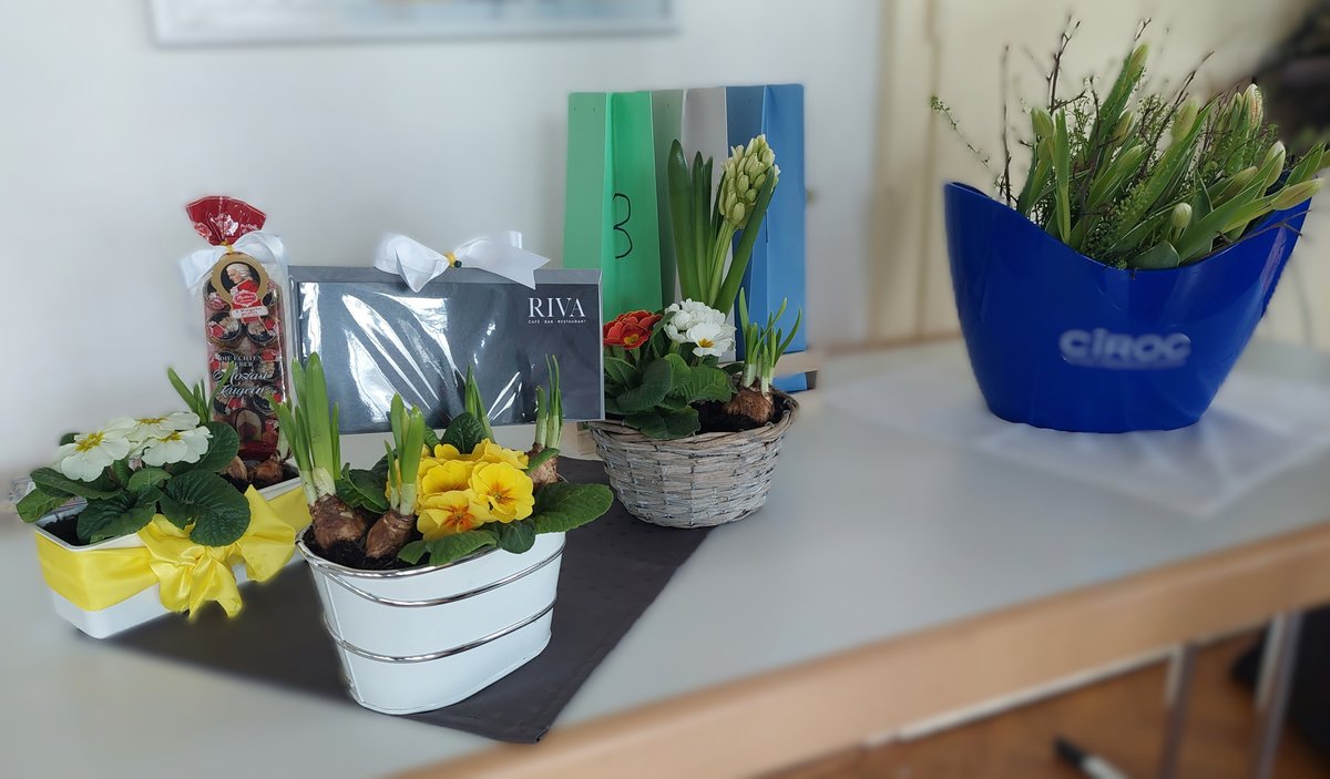 2025.02.15 - tanzparty-4.jpg